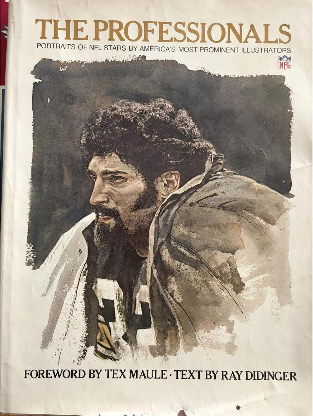 The Professionals: Portraits of NFL Stars by America's Prominent Illustrators